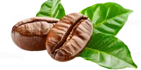 coffee-beans-with-green-leaves-isolated-on-transparent-background-clipping-path-png