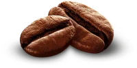 roastedcoffeebeanspnghd-1679655573842_500x